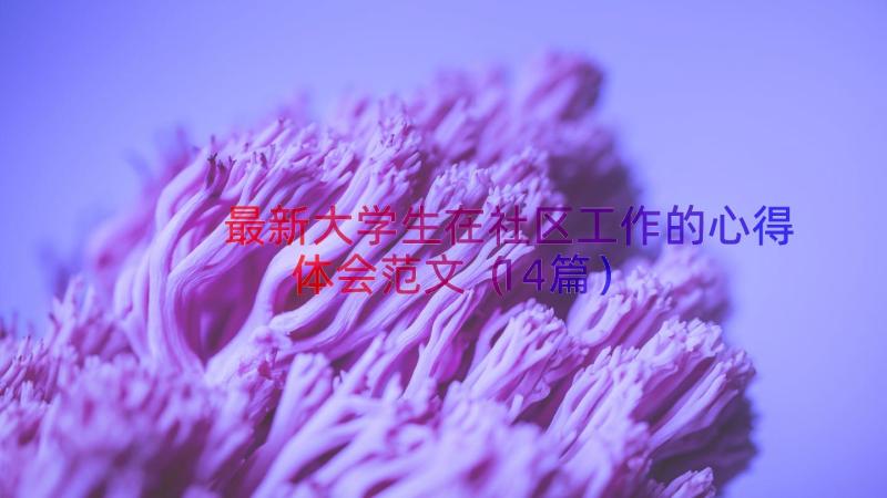 最新大学生在社区工作的心得体会范文（14篇）