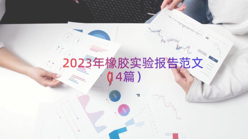 2023年橡胶实验报告范文（14篇）