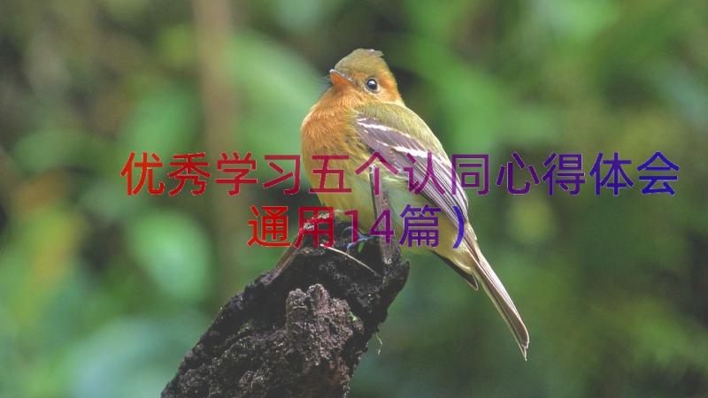 优秀学习五个认同心得体会（通用14篇）