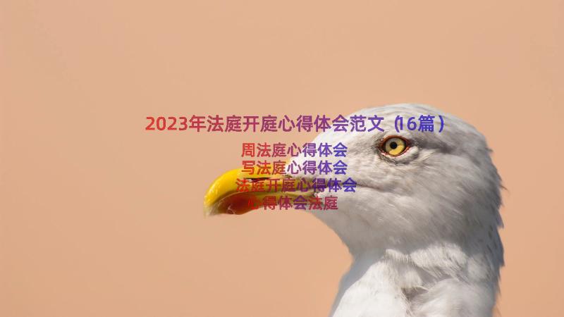 2023年法庭开庭心得体会范文（16篇）