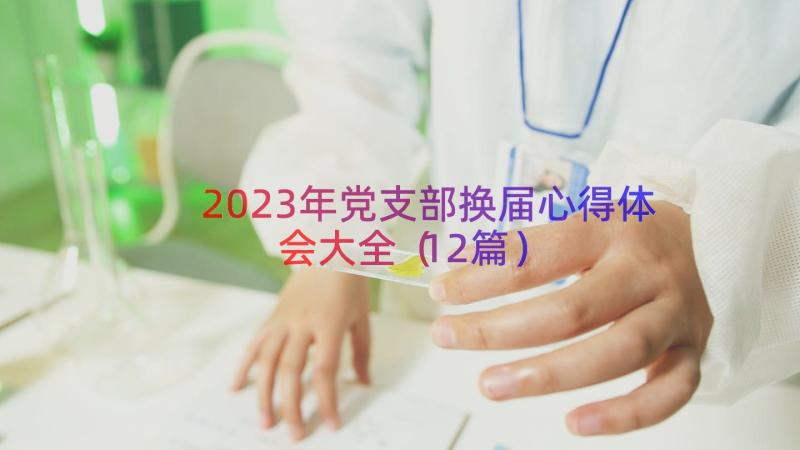 2023年党支部换届心得体会大全（12篇）