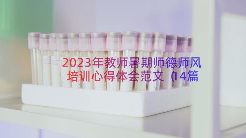 2023年教师暑期师德师风培训心得体会范文（14篇）