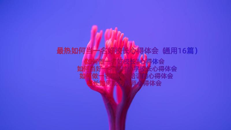 最热如何当一名好校长心得体会（通用16篇）