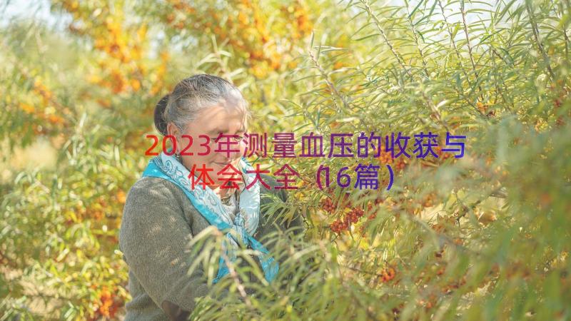 2023年测量血压的收获与体会大全（16篇）