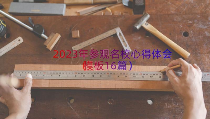 2023年参观名校心得体会（模板16篇）