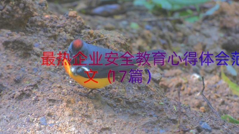 最热企业安全教育心得体会范文（17篇）