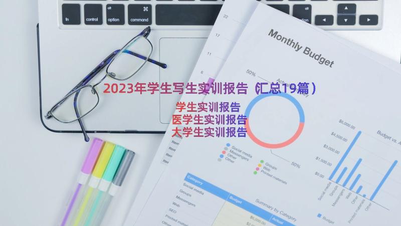 2023年学生写生实训报告（汇总19篇）