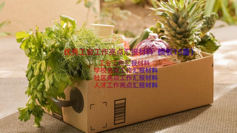 优秀工会工作亮点汇报材料（模板15篇）