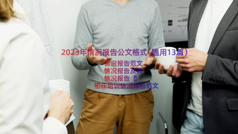 2023年情况报告公文格式（通用13篇）