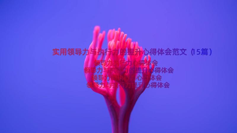 实用领导力与执行力的提升心得体会范文（15篇）