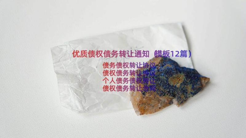 优质债权债务转让通知（模板12篇）