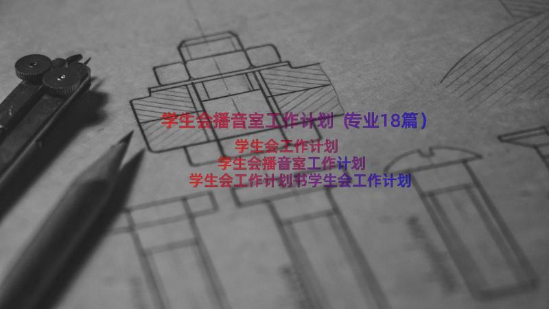 学生会播音室工作计划（专业18篇）