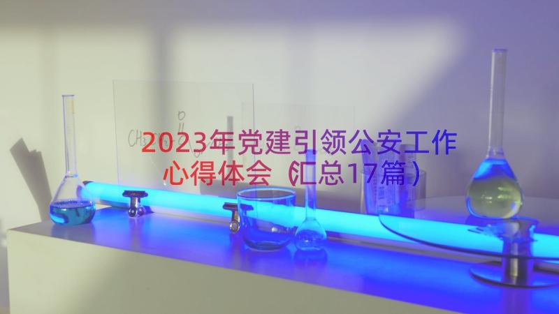 2023年党建引领公安工作心得体会（汇总17篇）