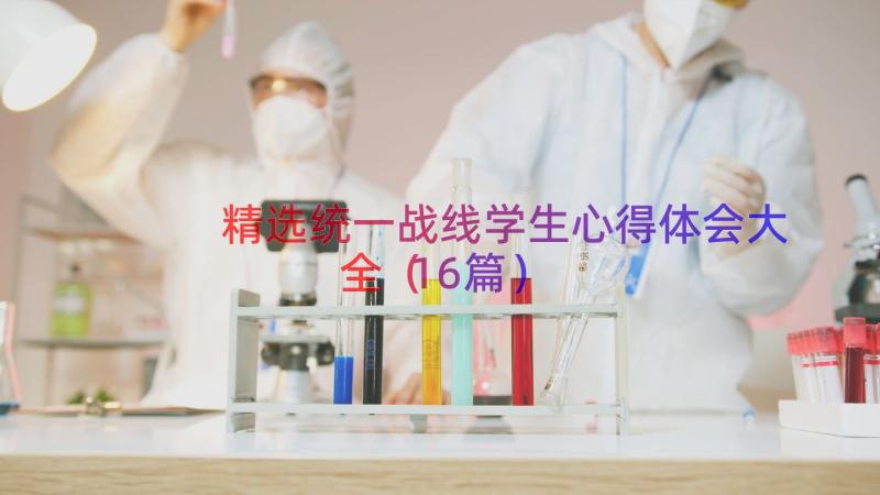 精选统一战线学生心得体会大全（16篇）