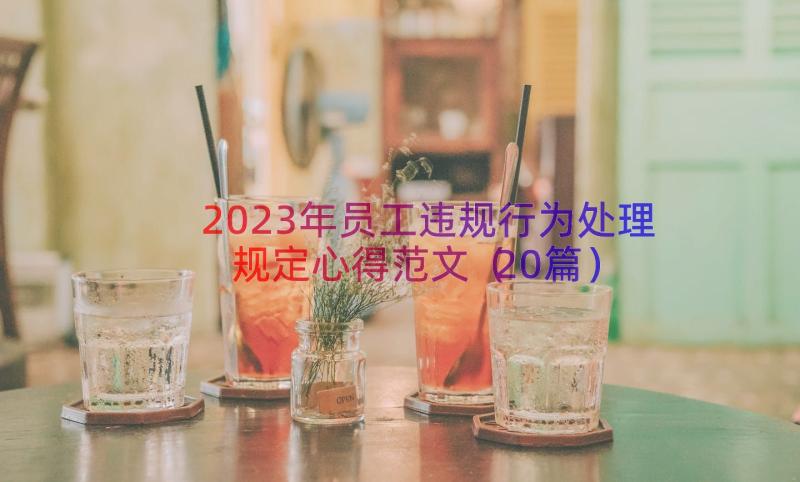 2023年员工违规行为处理规定心得范文（20篇）