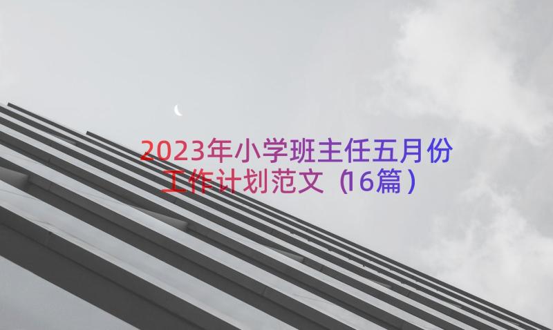 2023年小学班主任五月份工作计划范文（16篇）