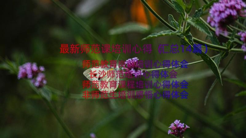 最新师范课培训心得（汇总14篇）