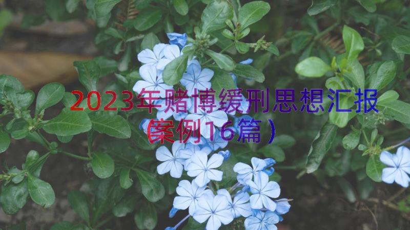 2023年赌博缓刑思想汇报（案例16篇）