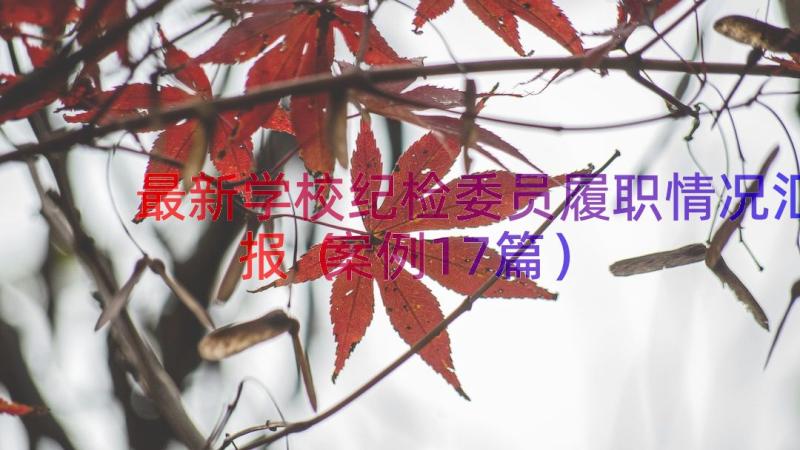 最新学校纪检委员履职情况汇报（案例17篇）