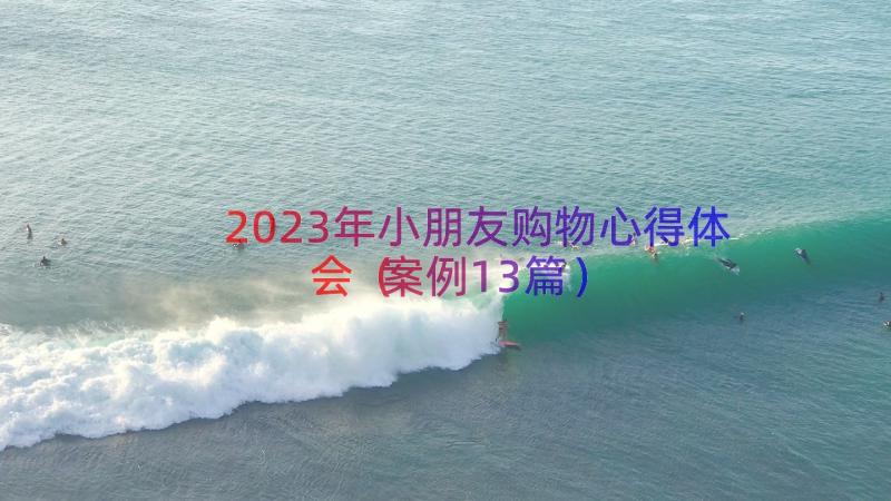 2023年小朋友购物心得体会（案例13篇）