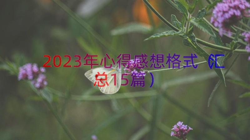 2023年心得感想格式（汇总15篇）