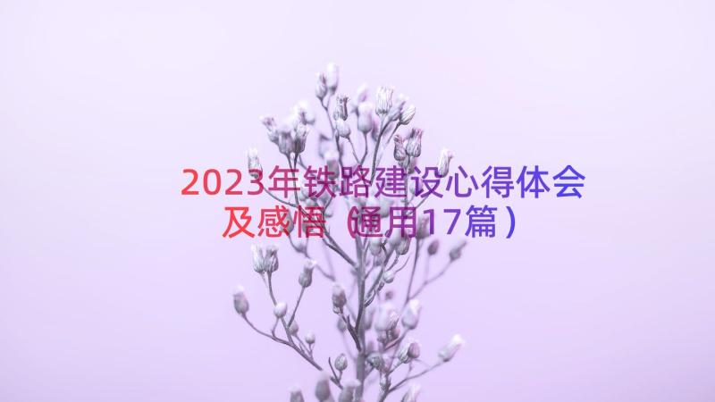 2023年铁路建设心得体会及感悟（通用17篇）