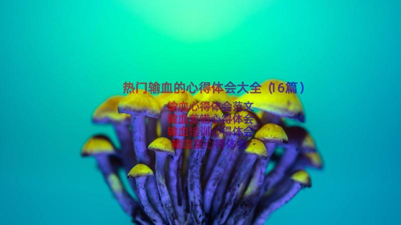 热门输血的心得体会大全（16篇）