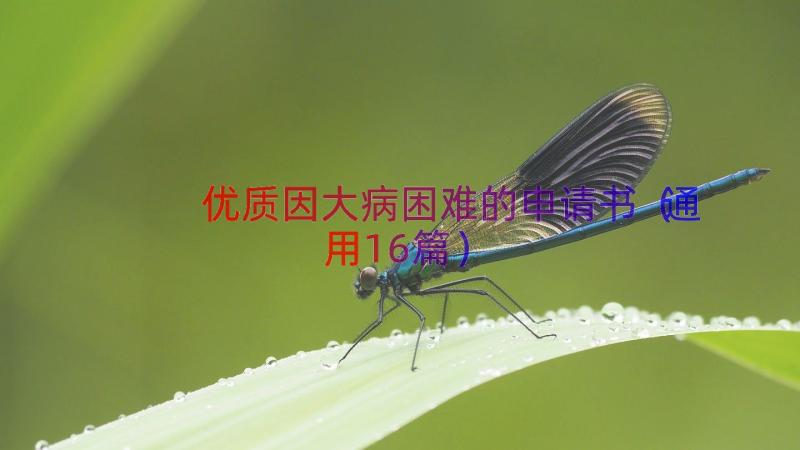 优质因大病困难的申请书（通用16篇）