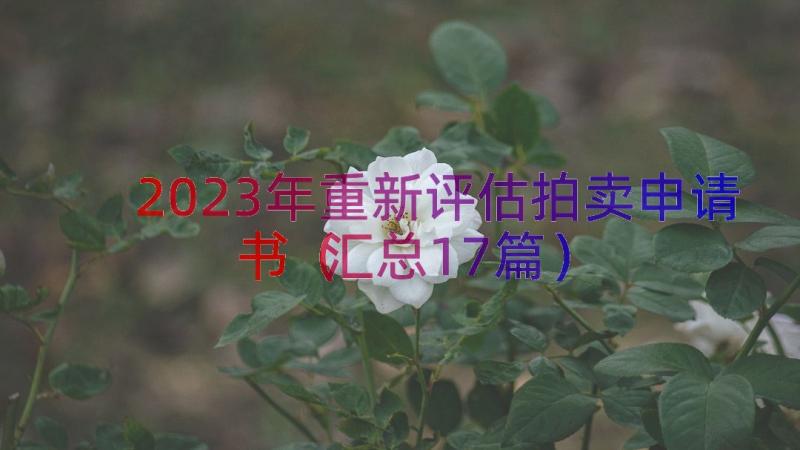 2023年重新评估拍卖申请书（汇总17篇）