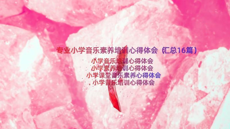 专业小学音乐素养培训心得体会（汇总16篇）