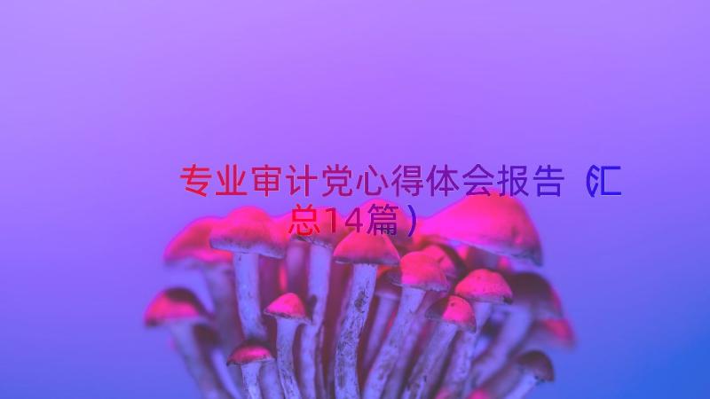 专业审计党心得体会报告（汇总14篇）