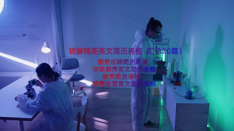 销售精英英文简历表格（汇总20篇）