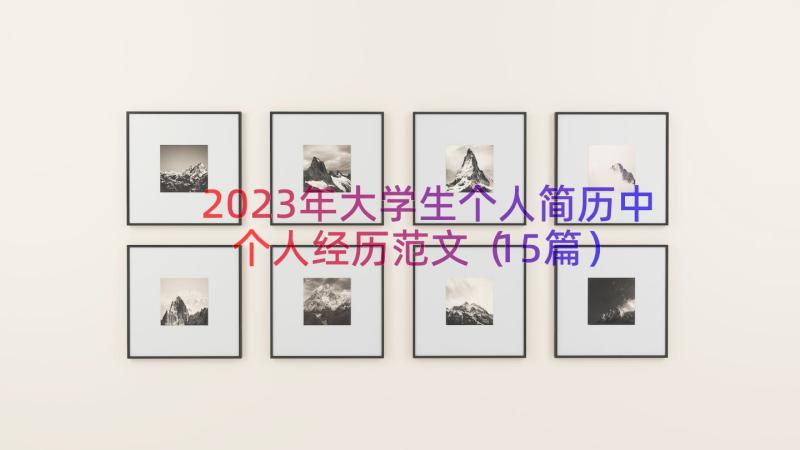 2023年大学生个人简历中个人经历范文（15篇）