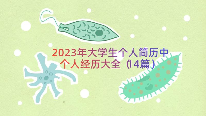 2023年大学生个人简历中个人经历大全（14篇）