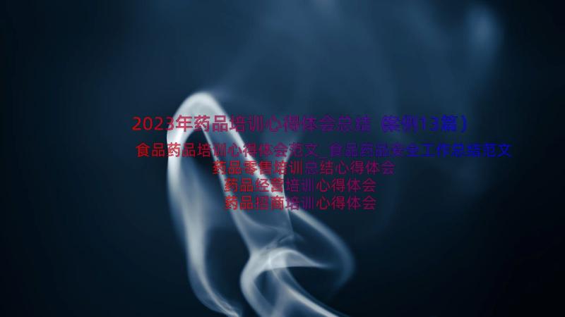 2023年药品培训心得体会总结（案例13篇）