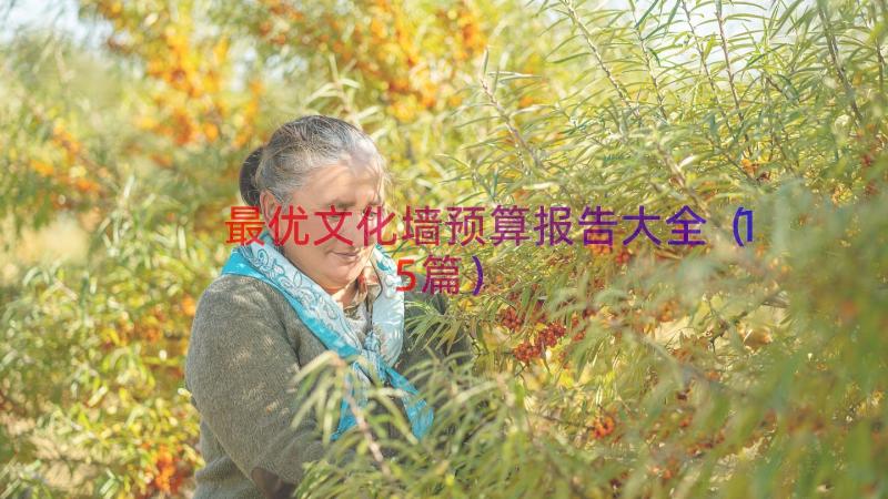 最优文化墙预算报告大全（15篇）