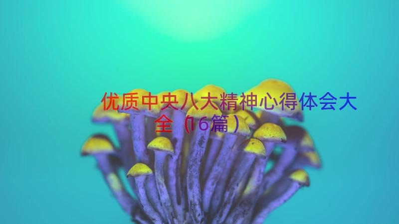 优质中央八大精神心得体会大全（16篇）