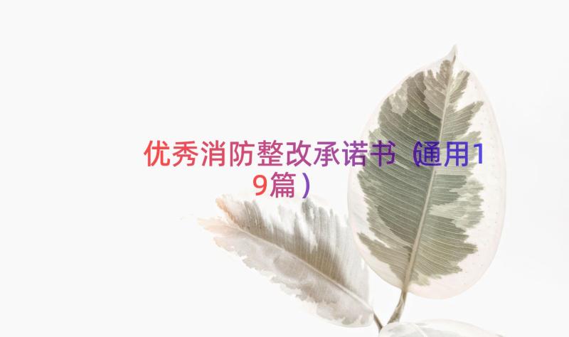 优秀消防整改承诺书（通用19篇）