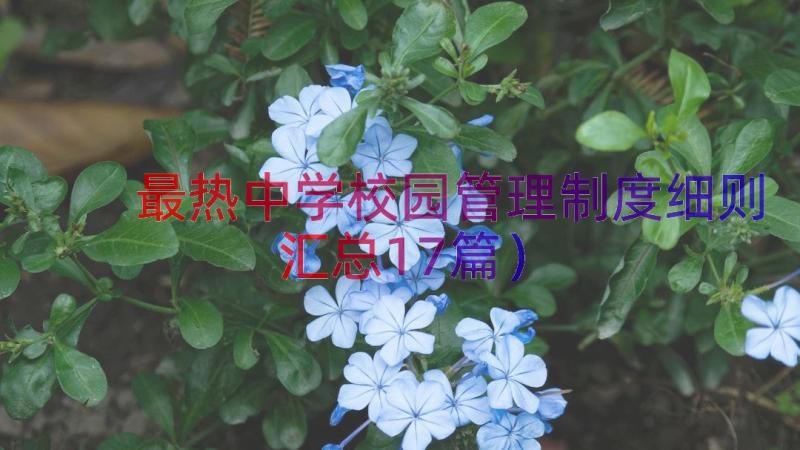 最热中学校园管理制度细则（汇总17篇）