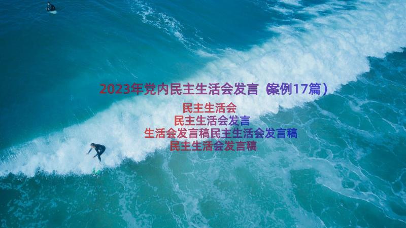 2023年党内民主生活会发言（案例17篇）