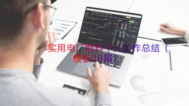 实用电厂燃料个人工作总结（模板18篇）