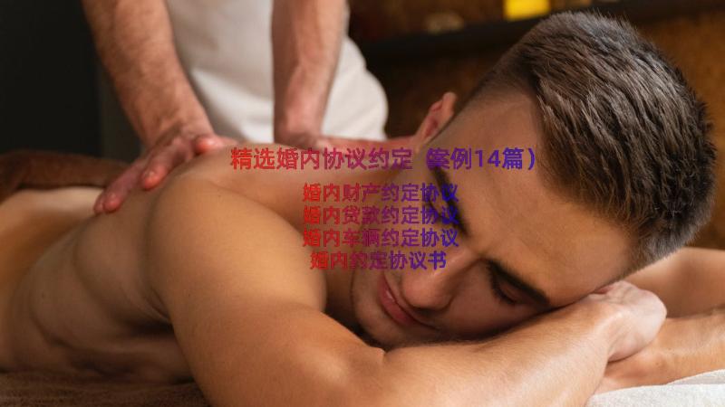 精选婚内协议约定（案例14篇）