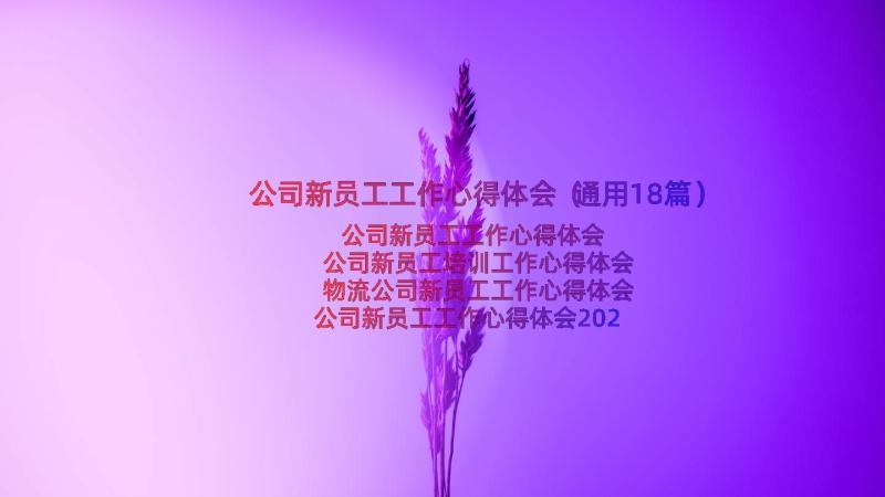 公司新员工工作心得体会（通用18篇）