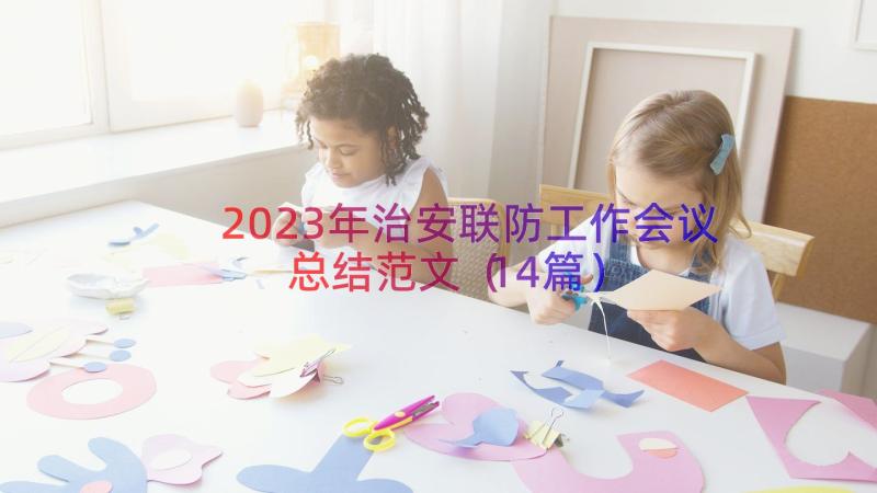 2023年治安联防工作会议总结范文（14篇）