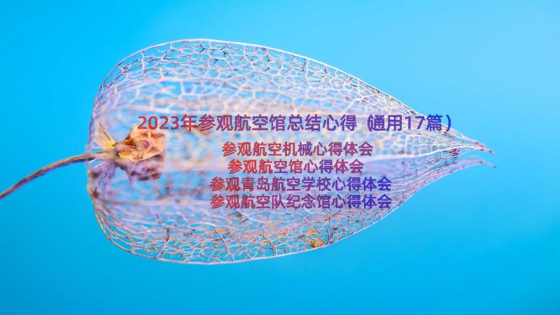 2023年参观航空馆总结心得（通用17篇）