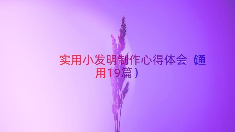 实用小发明制作心得体会（通用19篇）