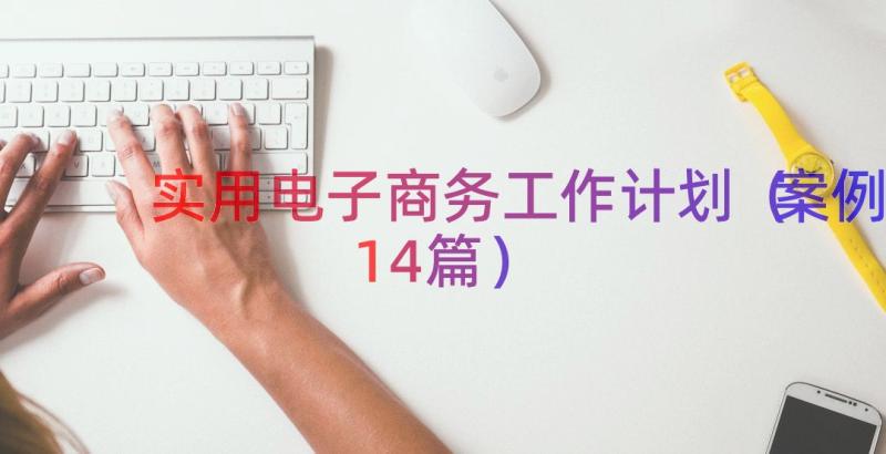 实用电子商务工作计划（案例14篇）