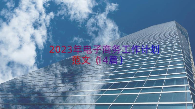 2023年电子商务工作计划范文（14篇）