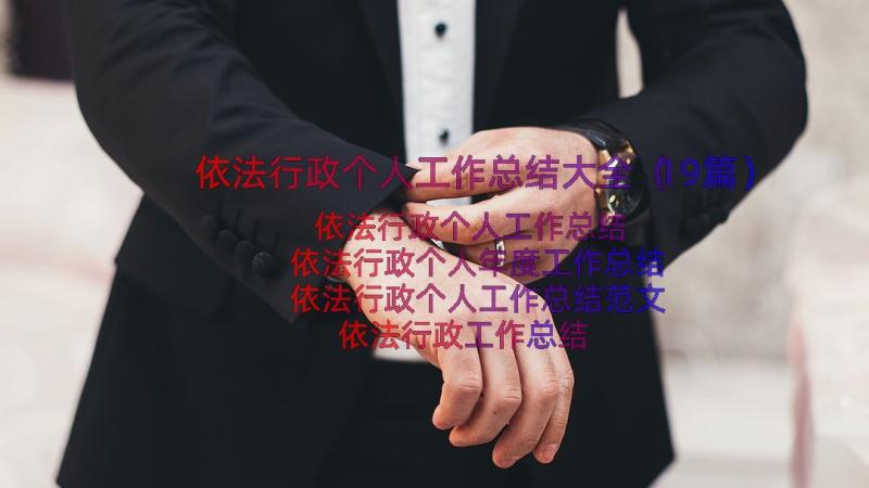 依法行政个人工作总结大全（19篇）