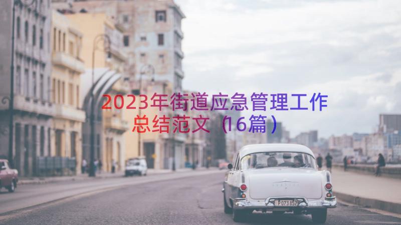 2023年街道应急管理工作总结范文（16篇）